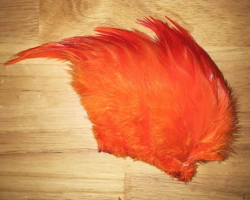 Creative Angler Saddle Hackle Fly Tying Materials - Natural Feathers for Wet Flies, Rooster Feathers, Hair Feathers for Crafts, Fly Tying Kit - Small Feathers Combo Pack of Steelhead Colored Feathers - Image 5